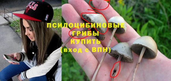 Альфа ПВП Алексин