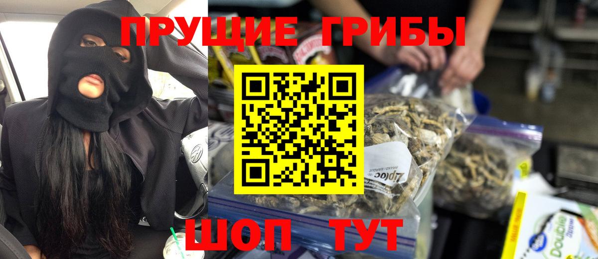 Черногорск  Галлюциногенные грибы MAGIC MUSHROOMS  Вход с VPN 